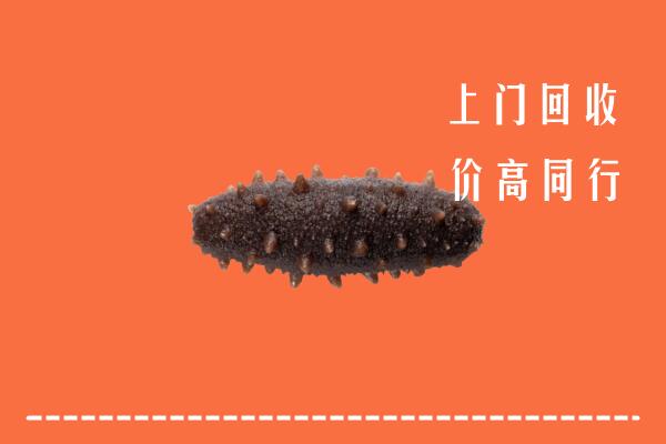 高价求购：北京市海淀回收海参