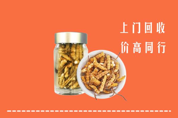北京市海淀回收冬虫夏草
