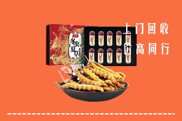 北京市海淀回收虫草